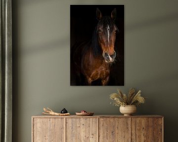 Portrait d'un cheval sur Gottfried Carls