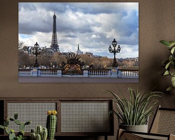 Eifelltower from the Alexandre III bridge by Dennis van de Water