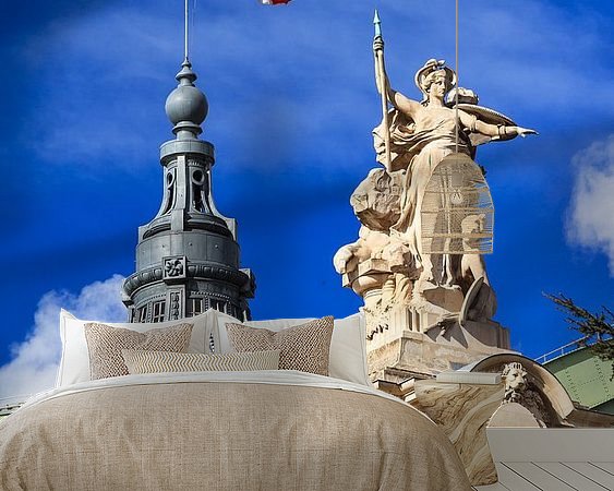 Aperçu de la chambre