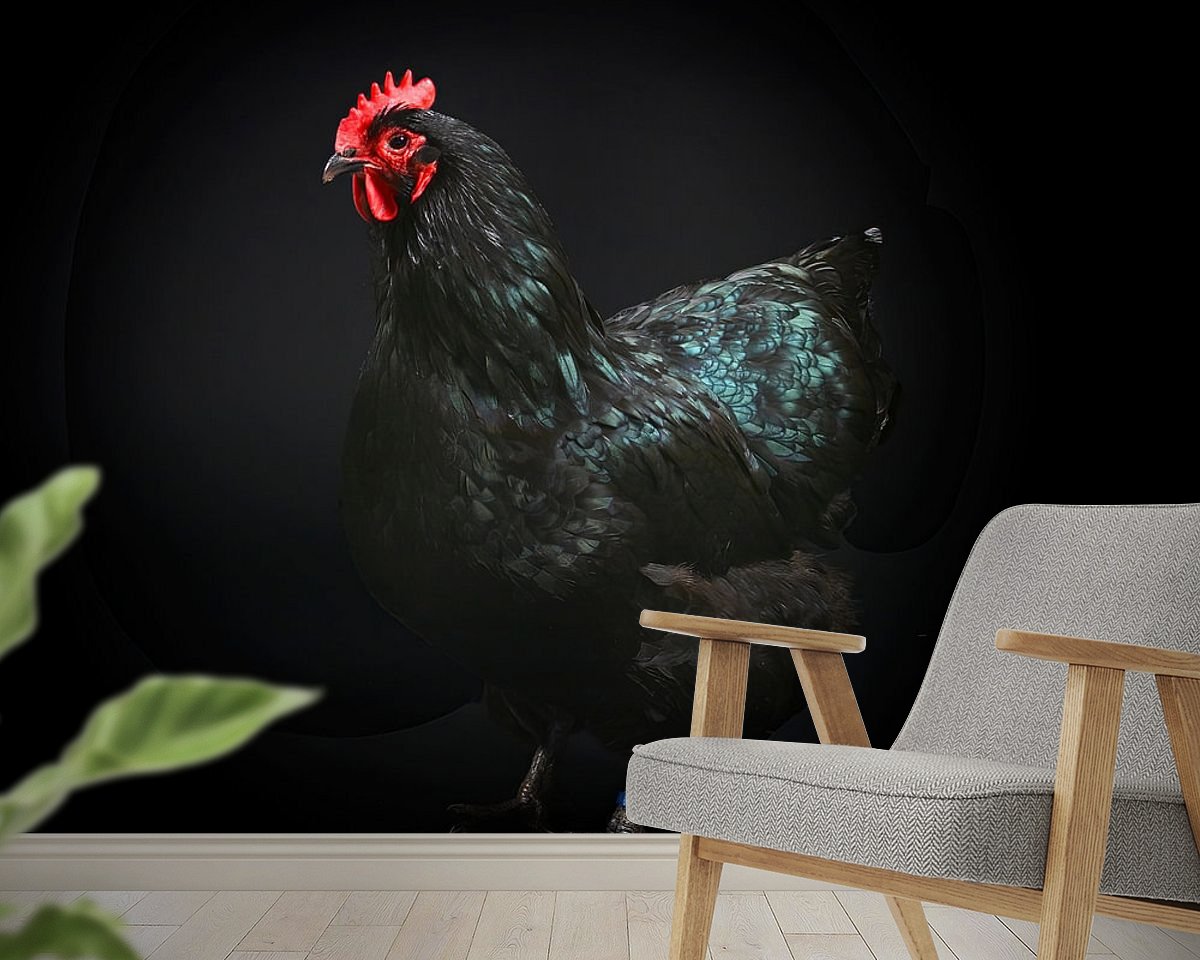 Raumvorschau
