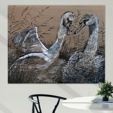 Cygnes (dessin à la plume)