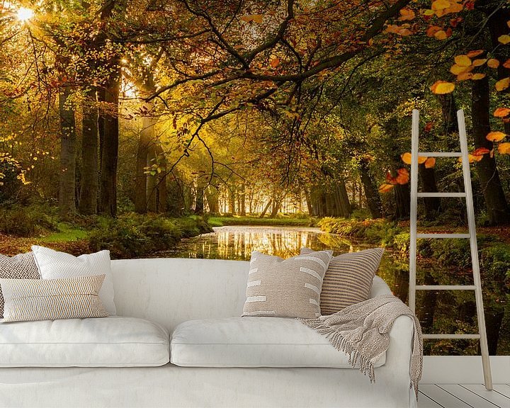 Sfeerimpressie behang: reflectie van herfstbladeren en bomen in vlak wateroppervlakte van Margriet Hulsker