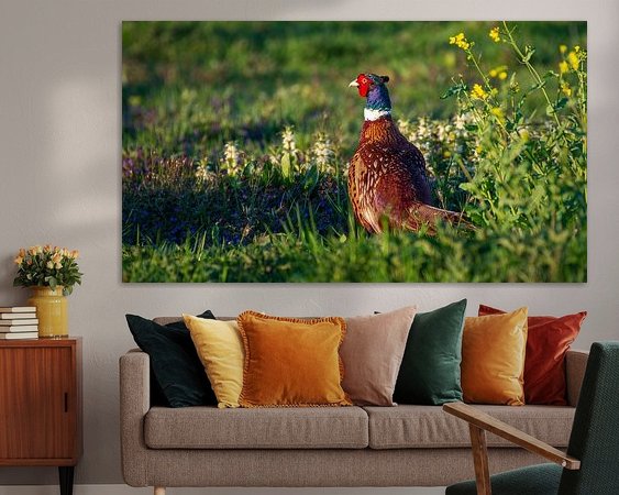 Aperçu de la chambre