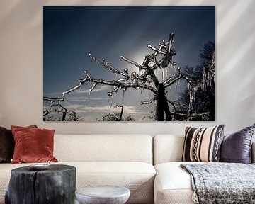 Frozen fruit tree by John Linders