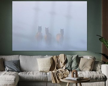 Konikpaarden in de mist op een mooie mistige lente ochtend in het nationaal park Lauwersmeer van Bas Meelker