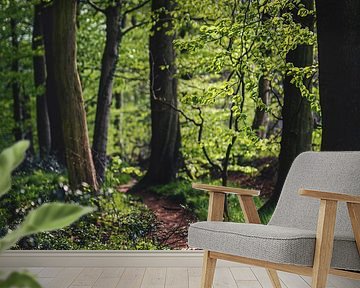 Hiking trail in the forest by Florian Kunde