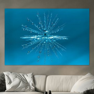 Ster met zelfreflectie