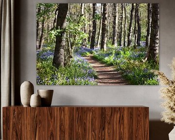 Foto van een pad in het bos met wilde hyacinten aan de zijkant. van Cor Brugman