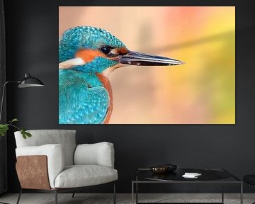 Kingfisher up close by Dennis Bresser
