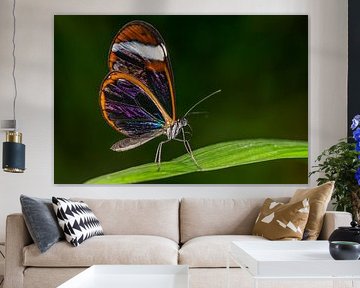 Summer Feeling by Tiffany Heymans