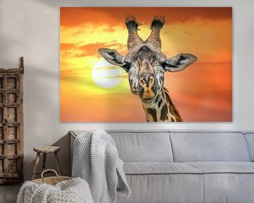 Portrait de girafe au coucher du soleil sur pixxelmixx