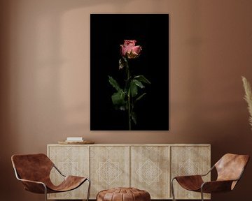 Bloemen portret sfeer