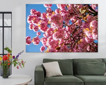 Blütenbaum rosa von Lisa Berkhuysen