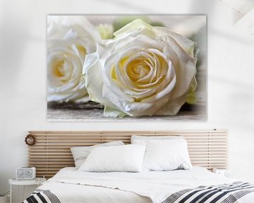 Weiße Rosen von Claudia Moeckel