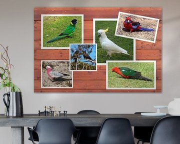Collage van Australische papegaaien van Ines Porada