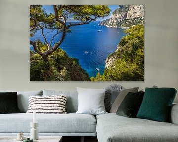 View to Punta de Masullo, Capri by Christian Müringer