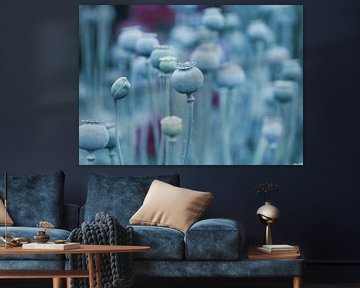 Sommer Mohnblumen Kapseln in Blau von Tanja Riedel