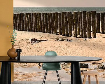 Zoutelande beach pileheads Zeeland coast