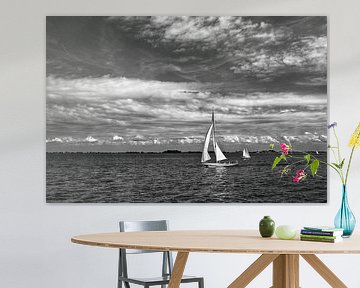 Zeilen op de Gouwzee