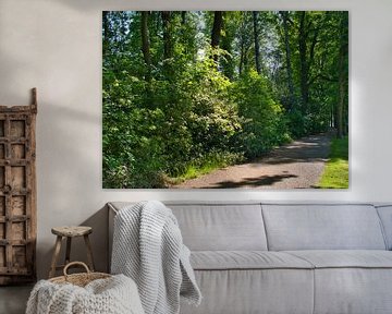 The green path in a Weerter park by Jolanda de Jong-Jansen