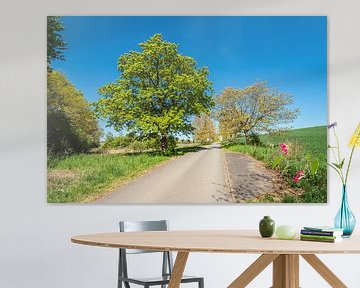 Landscape with road and trees near Kuchelmiß by Rico Ködder