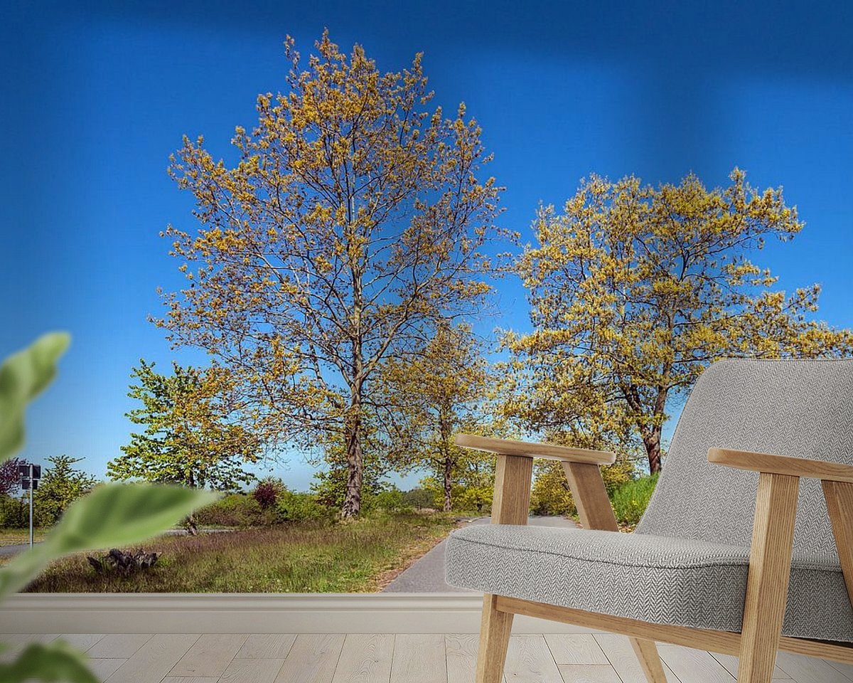 Raumvorschau