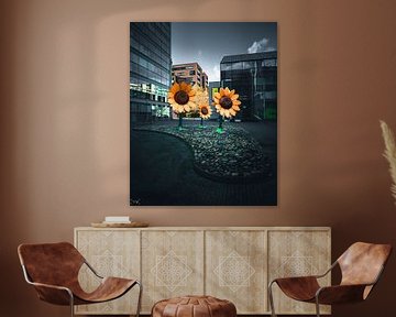 light-giving sunflowers can be found in the middle of the city. by Sabine Brederode Photography