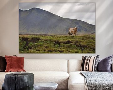 Koe in bergachtig IJsland van StePix