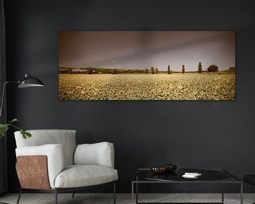 Sonnenblumenfeld Panorama Vintage-Look von Wim Slootweg