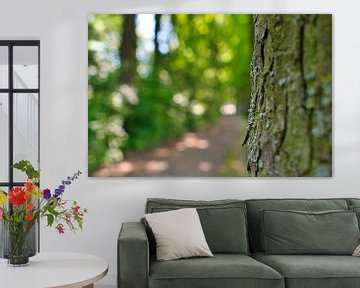 Ein Baum in einem dunstigen Park mit Bokeh-Knollen von Jolanda de Jong-Jansen