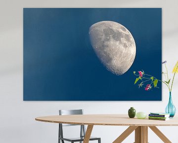 Der Mond von Dennis Bresser