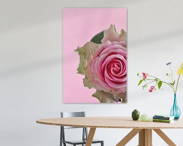 Foto van een roze roos. van Therese Brals