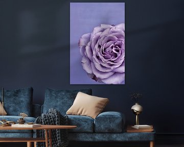Foto van een paarse roos. van Therese Brals
