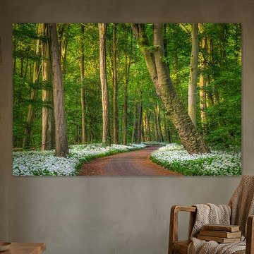 Amsterdamse Bos by Niels Barto