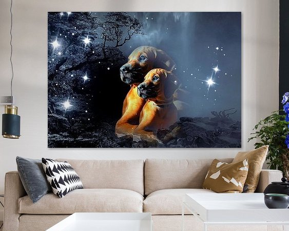 Voorbeeld van het werk in een kamer