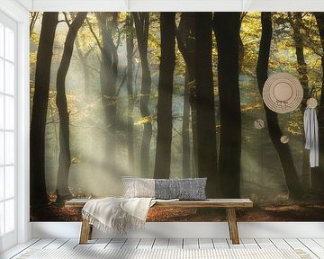 Sometimes dreams come true by Roelie Steinmann