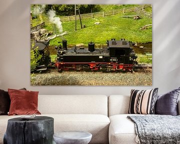 Museumsbahn Erzgebirge Preßnitztalbahn von Johnny Flash