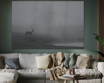 Deer in morning fog 2 by Pauline Bergsma
