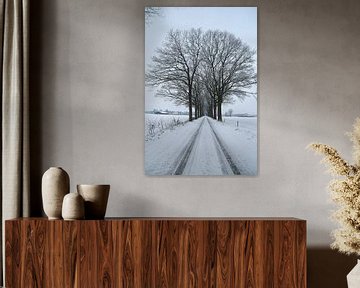 Landstraße mit Schnee von Pauline Bergsma