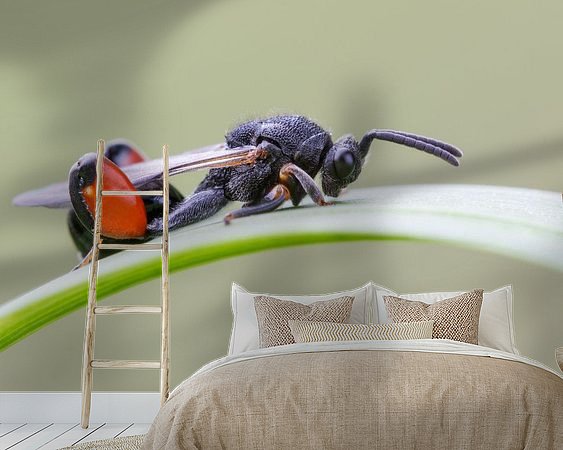 Voorbeeld van het werk in een kamer