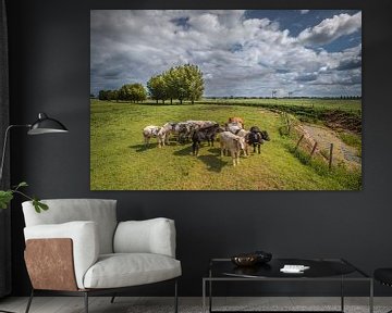 Nieuwsgierige Koeien in de polder bij PW Alexanderbrug Echteld van Moetwil en van Dijk - Fotografie