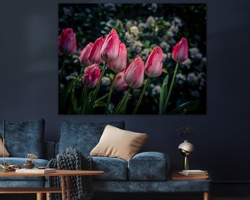 Tulpen in de lente