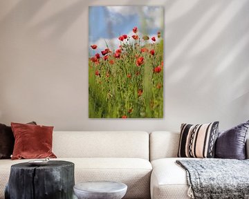 A field full of Poppies by Roberto Zea Groenland-Vogels