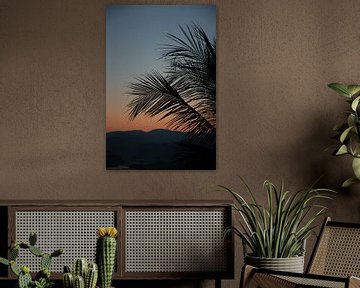 Palmbladeren bij zonsondergang van Bibian Been