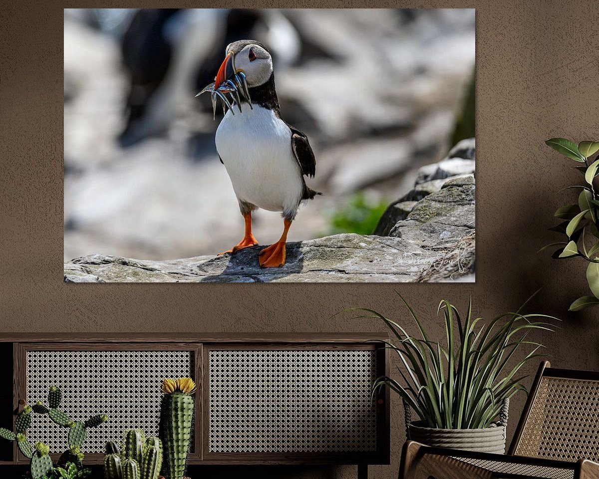 Voorbeeld van het werk in een kamer