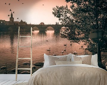 Charles Bridge in Prague