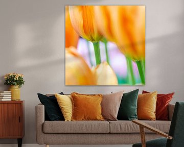 Orangefarbene Tulpen von Aspectus | Design en Realisatie