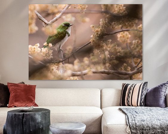 Aperçu de la chambre