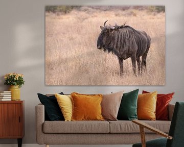 Blue wildebeest by Kars Klein Wolterink