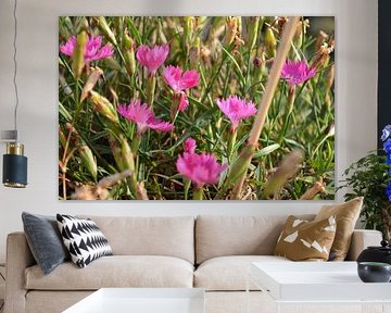 Bloemen
